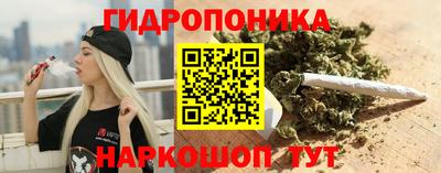 сатива Аргун