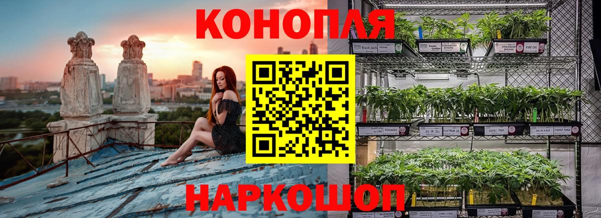 Артём  МАРИХУАНА Bruce Banner  Вход с VPN  Канабис ГИДРОПОН  МАРИХУАНА VHQ 